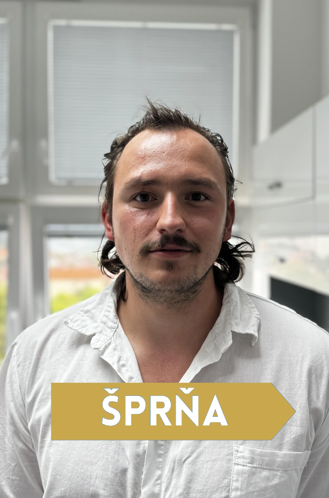 Portrét Šprňa